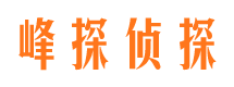 石龙侦探公司